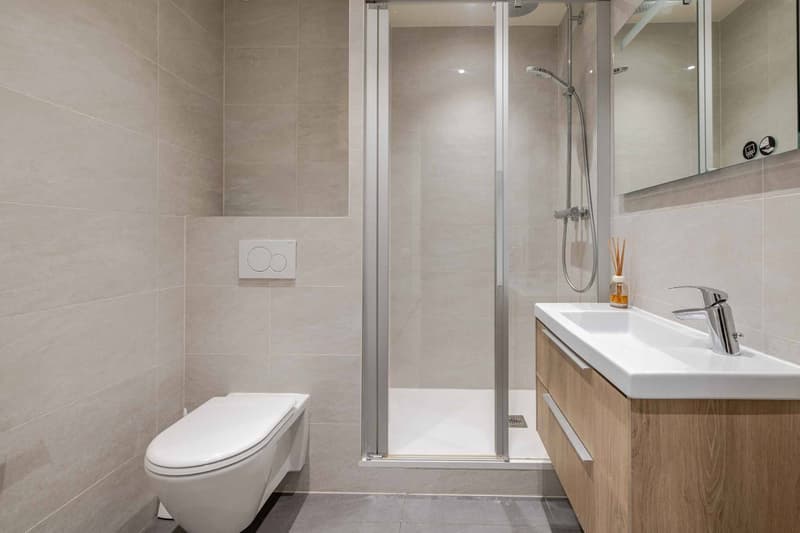 À louer  Agréable appartement de 2 pièces (9)
