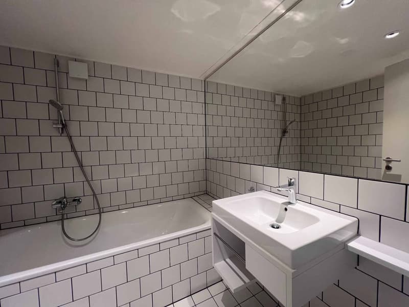 À louer - bel appartement de 3.5 pièces en duplex aux combles (6)