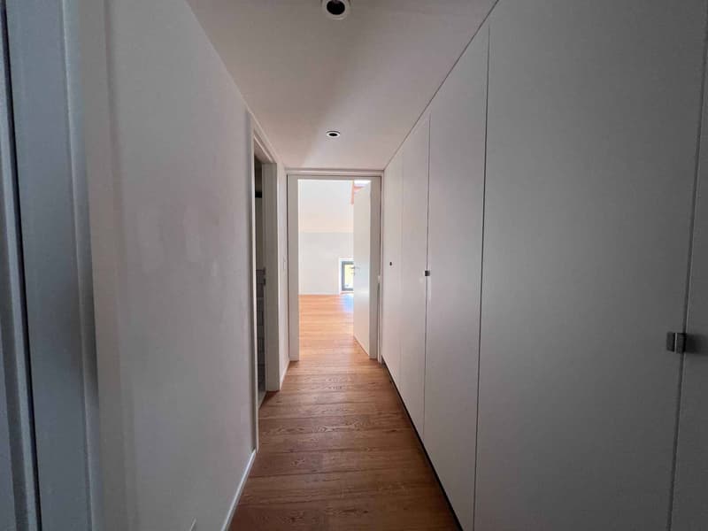 À louer - bel appartement de 3.5 pièces en duplex aux combles (3)