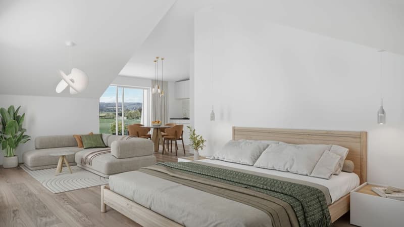 Covets 5 - Nouvelle promotion de 12 appartements à Orbe. (5)