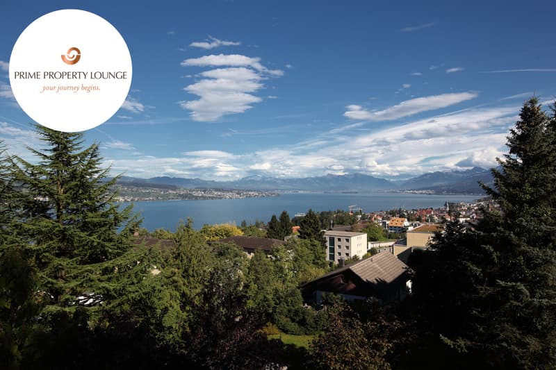 Wädenswil I BETTER PLACE (1)
