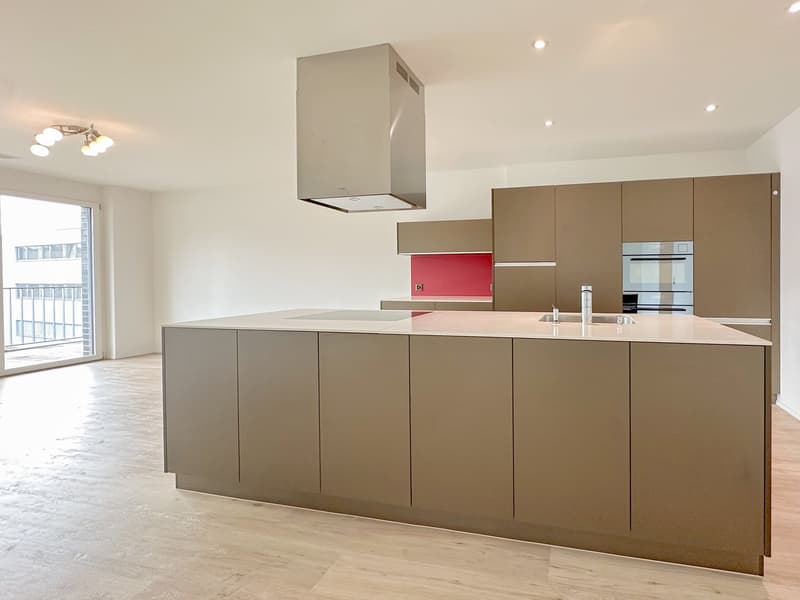 kitchen, large island, glass windows, modern cabinets, stainless steel appliances, open ceiling
