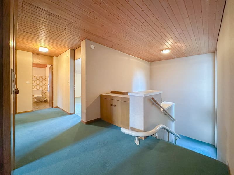 Blue carpet, wooden ceiling, hallway, white toilet, wooden cabinet, blue tiled flooring