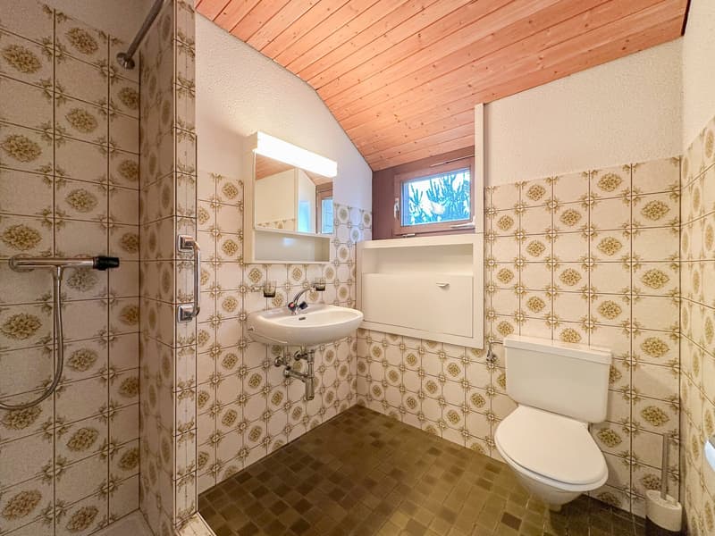 small bathroom with shower, toilet, sink, and mirror