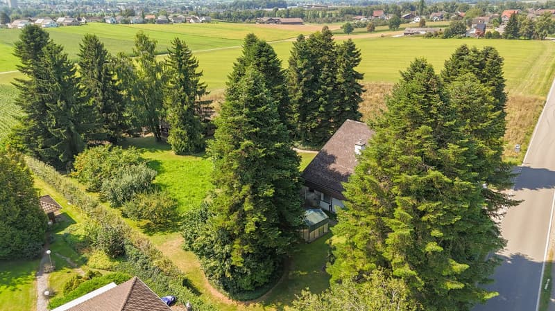 House surrounded by trees and open fields