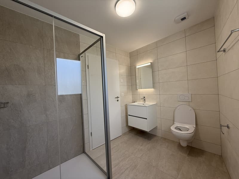 Appartements neufs de 3.5 pièces - nouvelle promotion à St-Pierre-de-Clages (4)