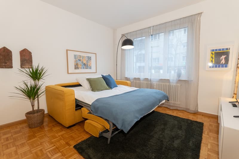 modern room, yellow couch, pull-out bed, white walls, radiator, floor lamp, potted plant, two framed art pieces