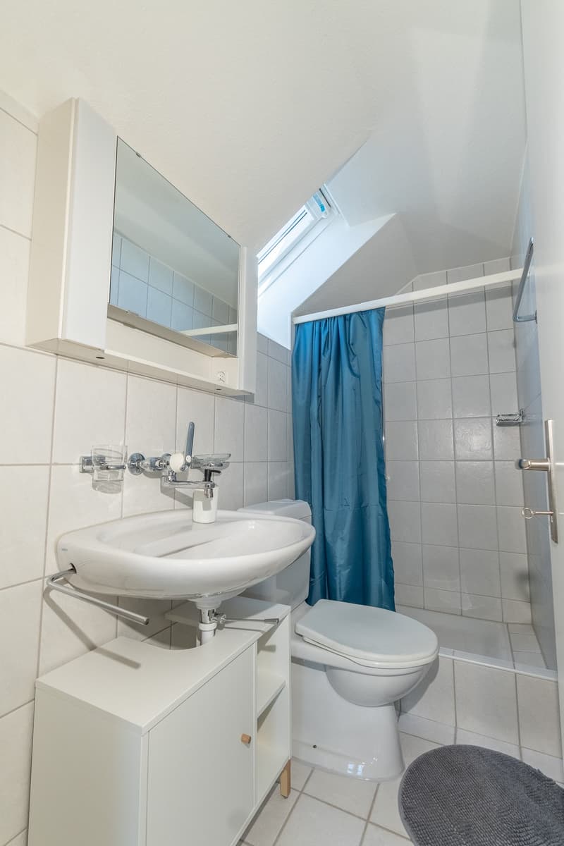Voll möblierte & grosszügige 4-Zimmer-Maisonette-Wohnung mit Wintergarten und Parkplatz in Allschwil (8)