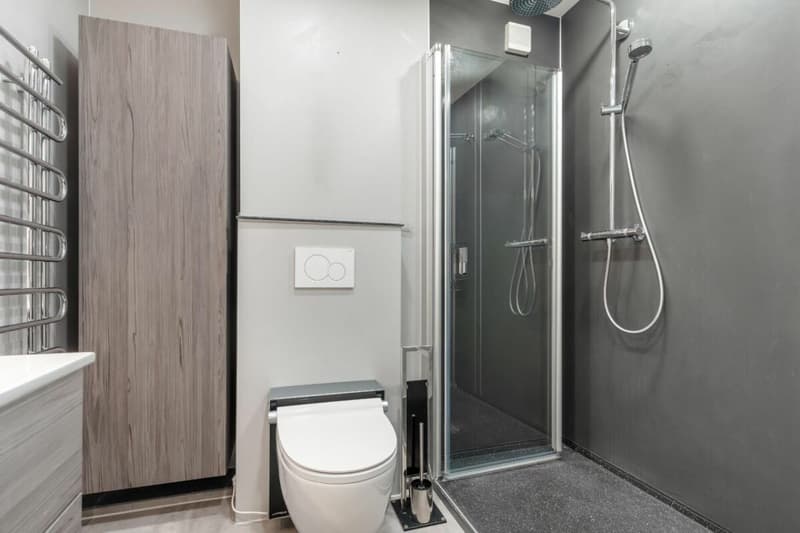 4.5-Zimmer Wohnung im Rorschacherberg mit Seesicht (7)