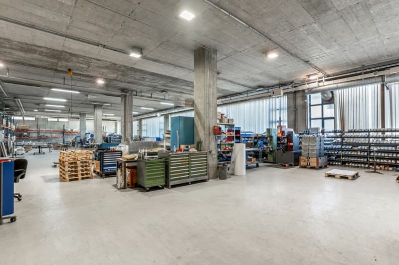 Produktions- und Gewerbeareal mit vielseitiger Nutzung (auch Teilflächen möglich) (9)