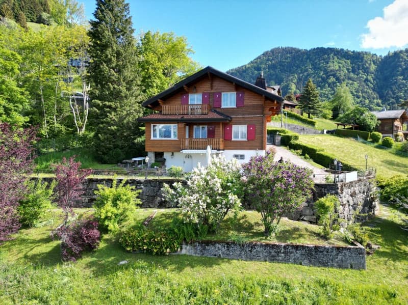 Chalet du Lac (2)
