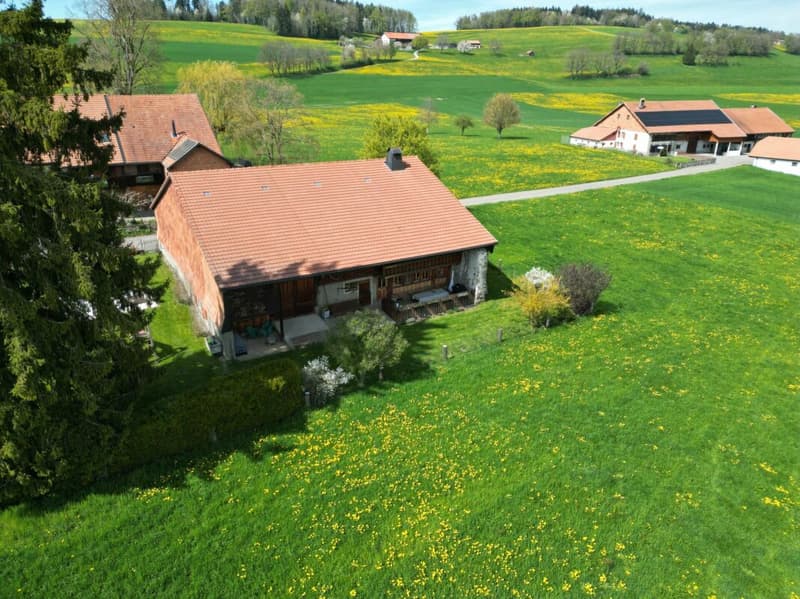 Ferme de caractère avec rural, en pleine campagne (3)