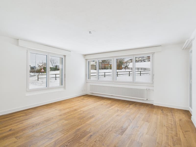 Empty room, wooden floor, white walls, large windows, heater