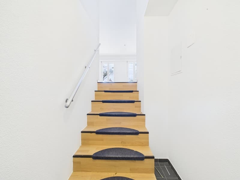 Modern staircase with wooden steps, blue carpets, white walls, railings