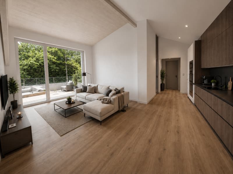 Charmante 1.5-Zimmer-Dachwohnung mit riesiger Terrasse (1)