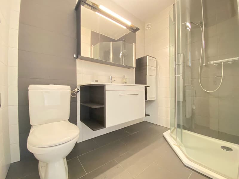 Helle 3-Zimmer-Wohnung mit Balkon in Schwerzenbach (7)