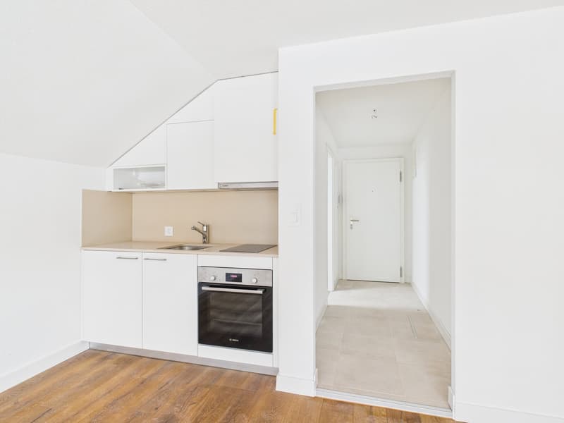 Charmante 1-Zimmer-Wohnung mit Aussicht in Speicher (3)