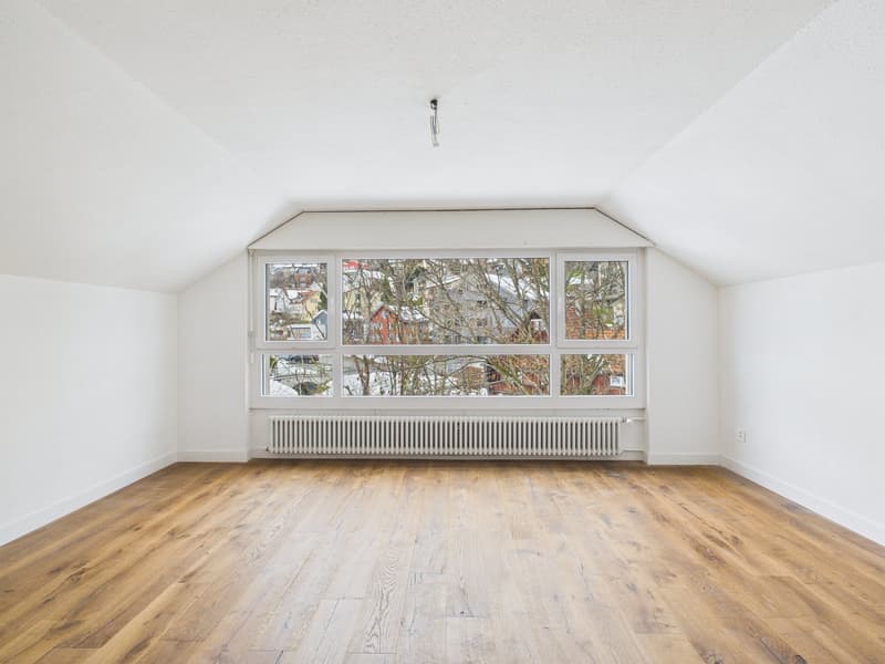 Charmante 1-Zimmer-Wohnung mit Aussicht in Speicher (1)