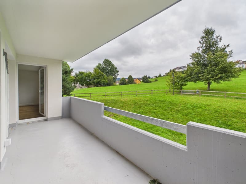 Helle 4.5-Zimmer-Wohnung mit Balkon und schöner Aussicht in Speicher AR (2)