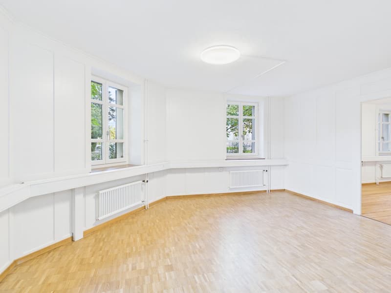 ZENTRUMSNAH UND LICHTDURCHFLUTET (3)