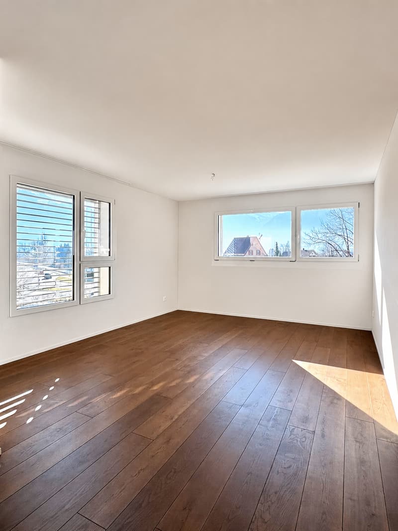Traumwohnung mit Ausblick auf die Glarner Alpen (F2-1) (2)