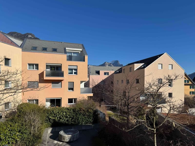 Traumwohnung mit Ausblick auf die Glarner Alpen (F2-1) (11)