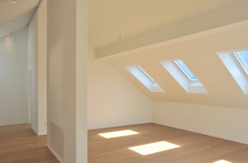 Dachwohnung mit sonniger Terrasse (E1-3) (3)