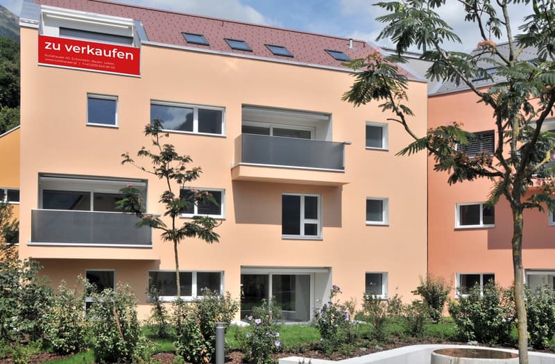 Dachwohnung mit sonniger Terrasse (E1-3) (6)