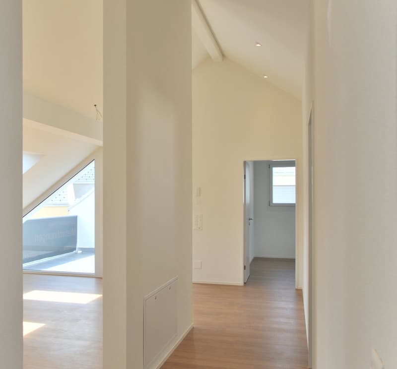 Dachwohnung mit sonniger Terrasse (E1-3) (5)