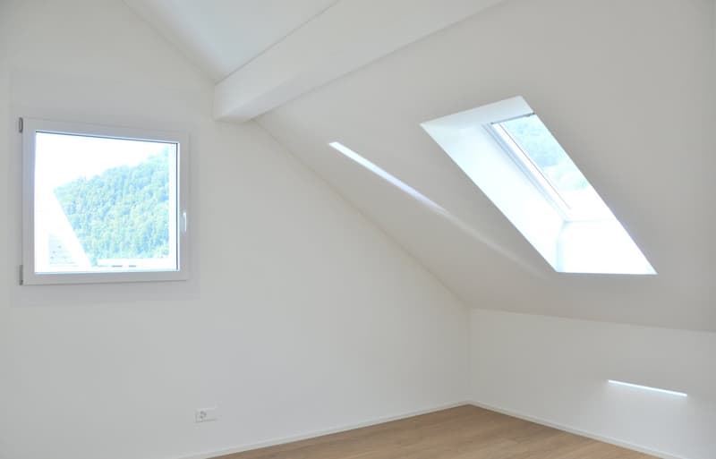Dachwohnung mit sonniger Terrasse (E1-3) (4)