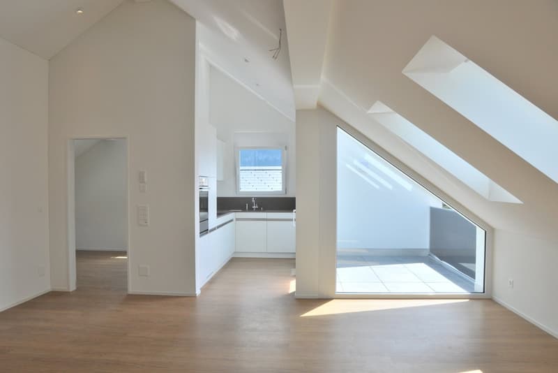 Sonnige Dachwohnung mit aussergewöhnlicher Aussicht (E2-3) (1)