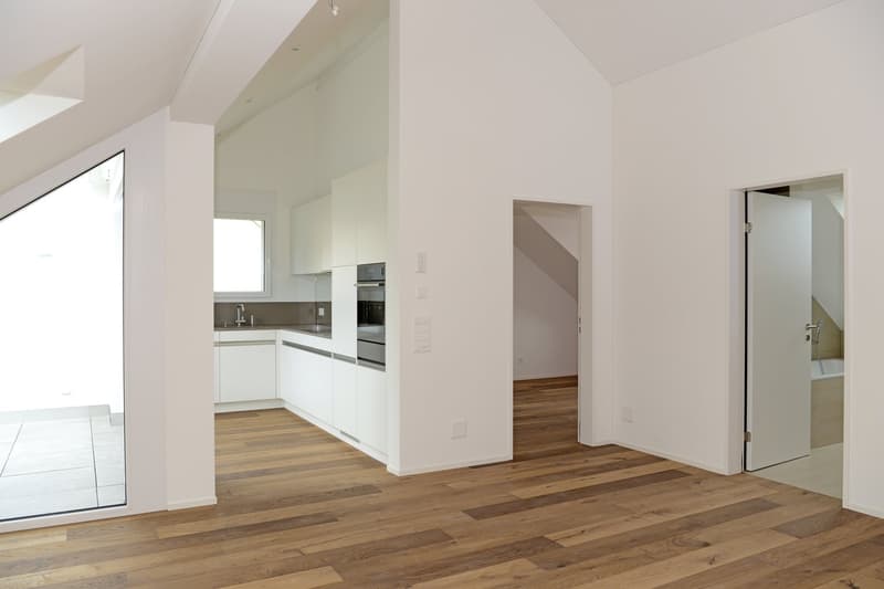 Dachwohnung mit Fernsicht in die Glarner Alpen (F1-3) (1)