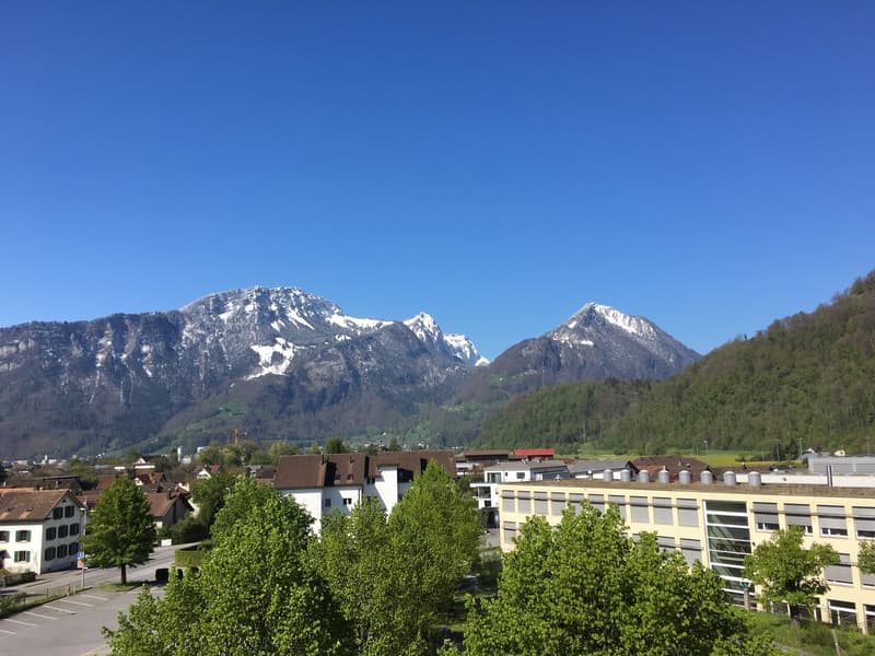 Dachwohnung mit Fernsicht in die Glarner Alpen (F1-3) (6)