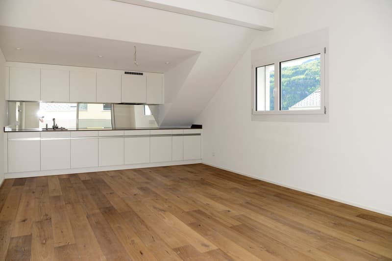 Grosszügige Dachwohnung mit Terrasse (G1-3) (2)