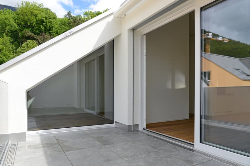 Grosszügige Dachwohnung mit Terrasse (G1-3) (4)