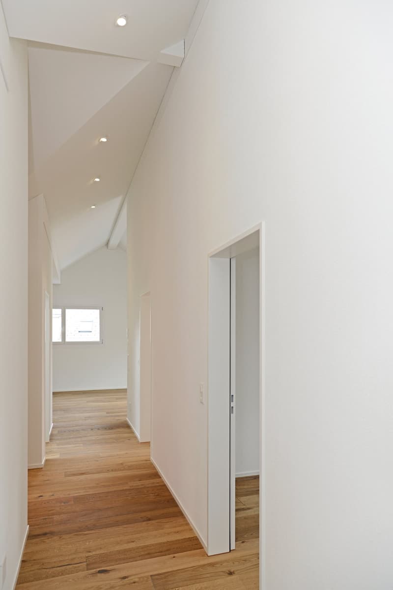 Grosszügige Dachwohnung mit Terrasse (G1-3) (6)
