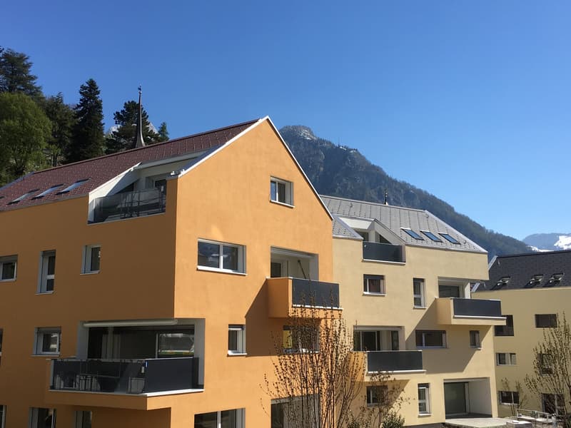 Grosszügige Dachwohnung mit Terrasse (G1-3) (8)