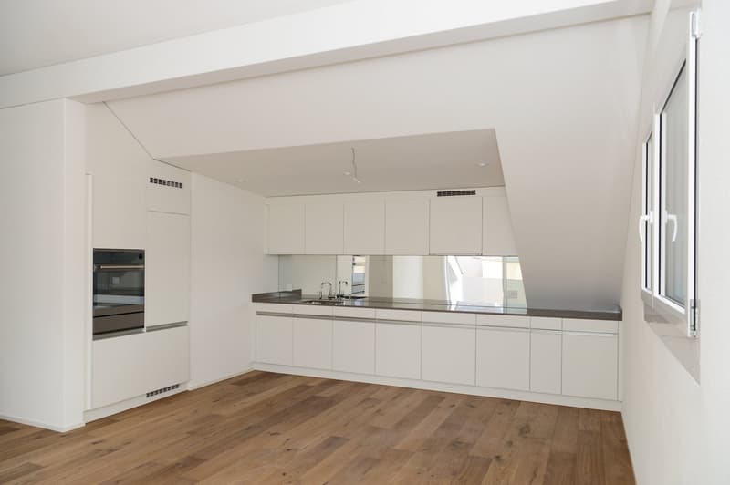 Grosszügige Dachwohnung mit Terrasse (G1-3) (1)