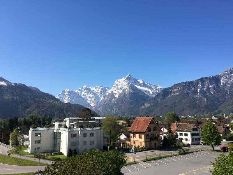 Dachwohnung mit Fernsicht in die Glarner Alpen (F1-3) (5)
