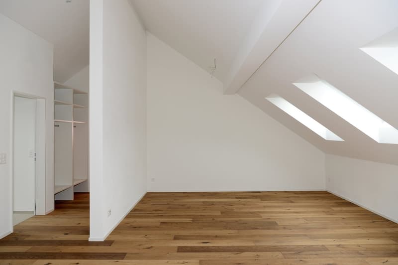 Dachwohnung mit Fernsicht in die Glarner Alpen (F1-3) (4)