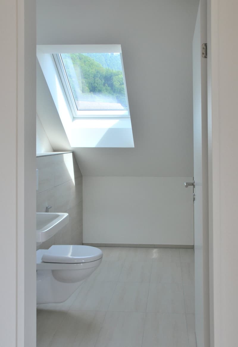 Sonnige Dachwohnung mit aussergewöhnlicher Aussicht (E2-3) (5)
