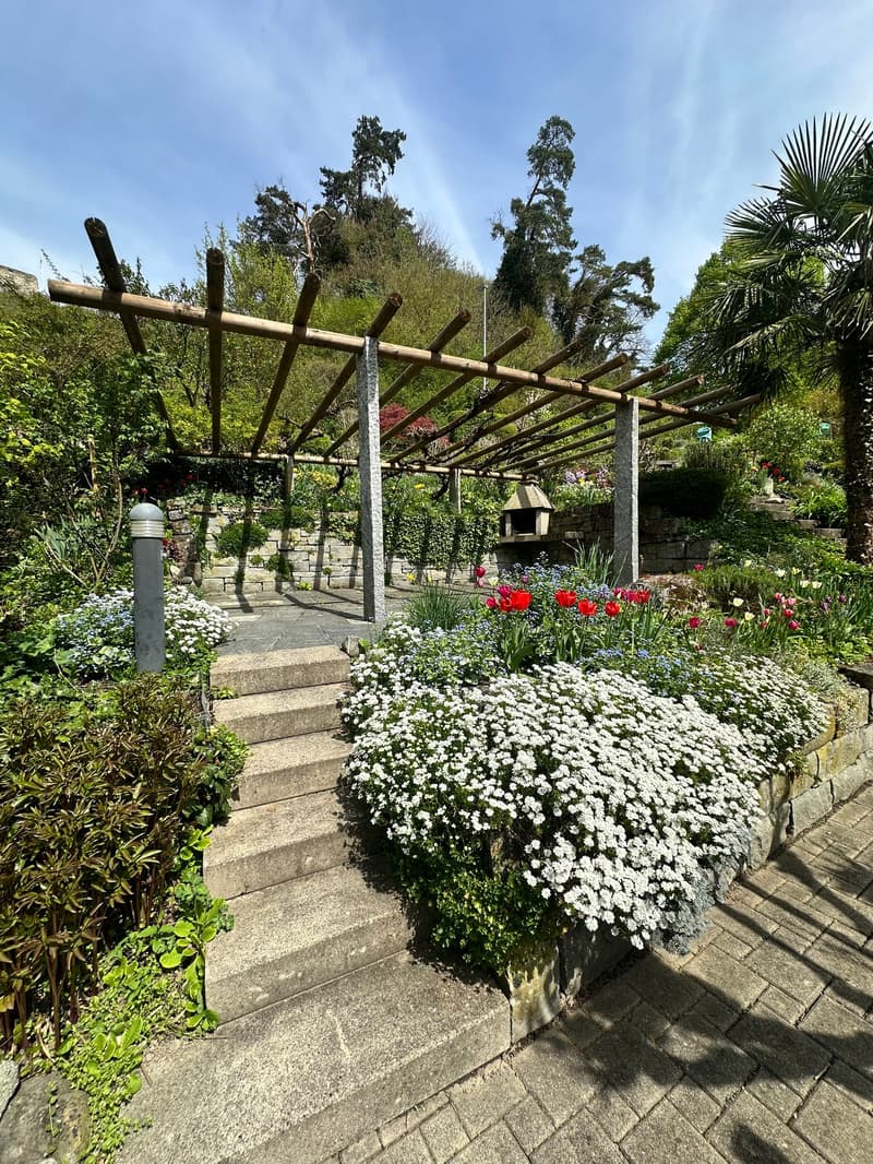 Garden with wooden pergola, stone steps, various flowers, and a small birdhouse.