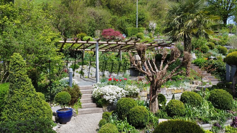 Garden with various plants, flowers, and shrubs, wooden pergola, stone steps, brick wall, and a view of the surrounding area.