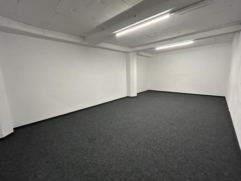 Diverse Lagerflächen mit Belüftung, Stromanschluss und Toiletten (6)