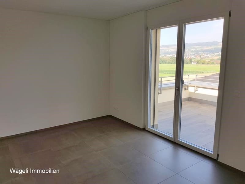 Luxuriöse 5-Zimmer-Dachwohnung mit Balkon und Panoramablick in Niederwil (4)