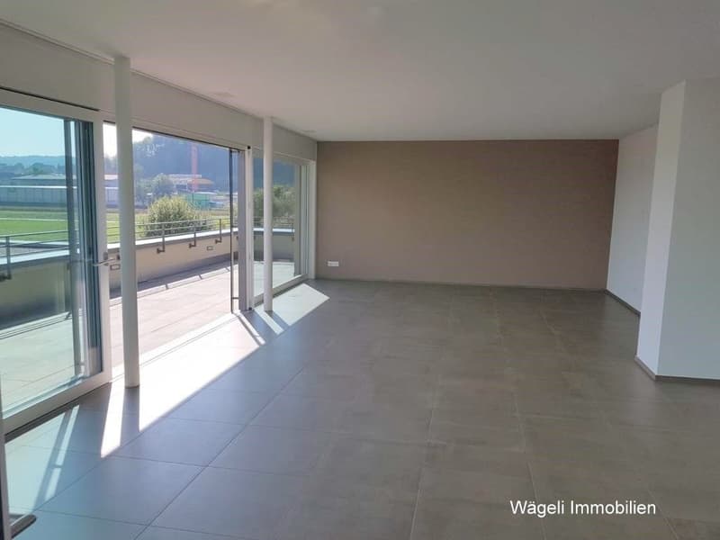 Luxuriöse 5-Zimmer-Dachwohnung mit Balkon und Panoramablick in Niederwil (5)