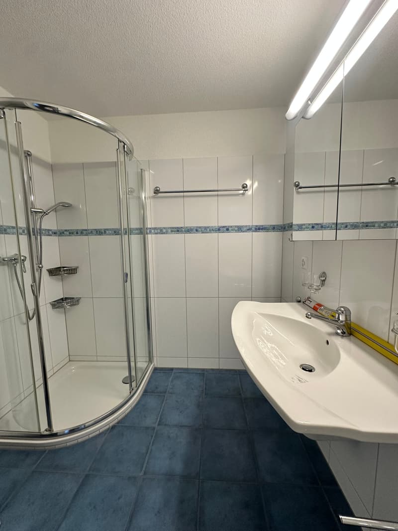 Exklusive 5.5-Zimmer-Maisonettewohnung mit Alpenpanorama in Hittnau (10)