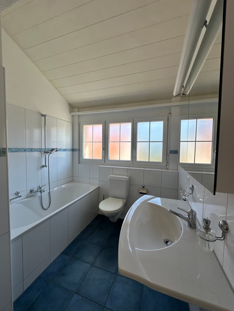 Exklusive 5.5-Zimmer-Maisonettewohnung mit Alpenpanorama in Hittnau (7)