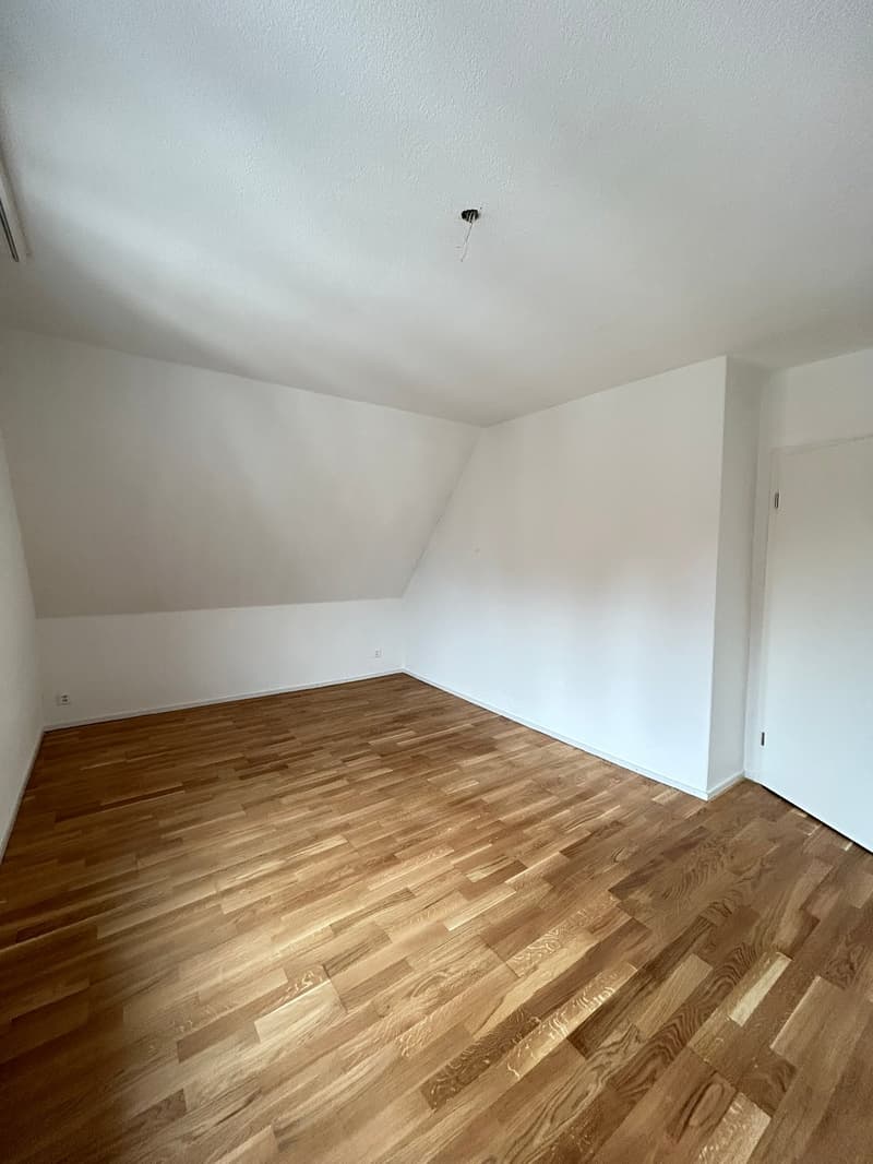 Charmante Dachwohnung mit Charakter an ruhiger Lage in St. Gallen (6)