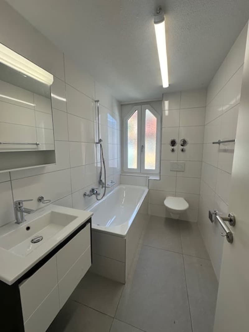 Charmante Dachwohnung mit Charakter an ruhiger Lage in St. Gallen (8)